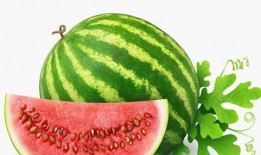 娱乐吃瓜酱一半是植物人,揭秘娱乐吃瓜酱背后的绿色秘密