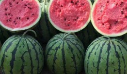 娱乐吃瓜酱好婚姻,好婚姻的秘诀与智慧