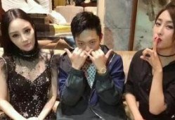 在娱乐圈吃瓜的小说,瓜田里的明星秘闻