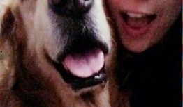 娱乐吃瓜酱人被狗撞,娱乐吃瓜酱人遭遇意外，网友热议