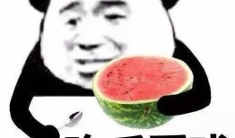 娱乐吃瓜酱笑点低,笑点低到吃瓜也能笑出声的娱乐酱