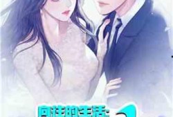 娱乐吃瓜小趴菜小说,小趴菜吃瓜记