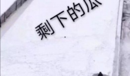 娱乐有态度吃瓜有深度的句子