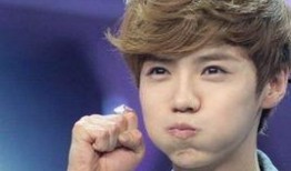 娱乐吃瓜猫鹿晗,娱乐吃瓜猫的时尚之旅