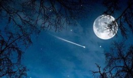 月亮吃瓜娱乐说,揭秘娱乐圈幕后故事