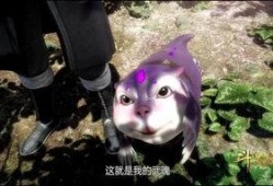 娱乐吃瓜君遛鸟大师是谁,揭秘娱乐吃瓜君背后的神秘人物