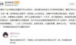 辞职通知书娱乐吃瓜酱,辞职通知书背后的娱乐吃瓜大揭秘