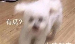 娱乐圈吃瓜微信聊天,幕后八卦大曝光