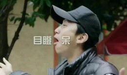 吃瓜老衲娱乐圈博主小说