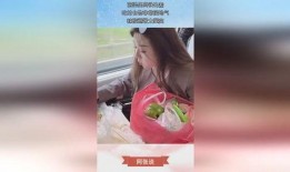 小富婆坐高铁娱乐吃瓜酱,娱乐吃瓜酱，畅享旅途时光