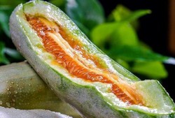 娱乐吃瓜作品有哪些类型,吃瓜群众的多元化娱乐作品类型大盘点