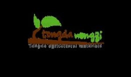 娱乐吃瓜公司有哪些品牌,揭秘娱乐吃瓜界的明星品牌矩阵