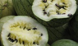 娱乐718吃瓜上不去了,揭秘吃瓜群众为何上不去的神秘面纱