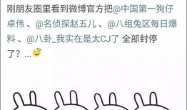 娱乐吃瓜酱名言大全,揭秘娱乐圈那些鲜为人知的幕后真相