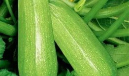 娱乐吃瓜竖屏图片大全