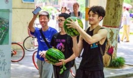 吃瓜娱乐学校,揭秘娱乐圈背后的秘密与趣味