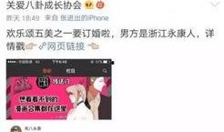 吃瓜系统娱乐圈小说