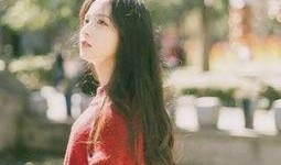 娱乐圈吃瓜大姐头像图片