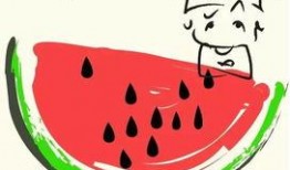 吃瓜娱乐素材哪里找的,吃瓜娱乐素材的搜集秘籍