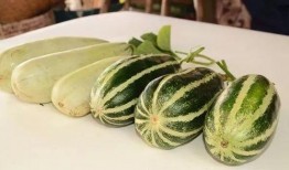 娱乐吃瓜718网红瓜