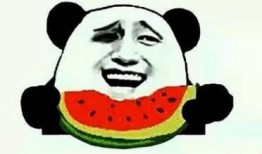 娱乐吃瓜酱过早懂事,娱乐吃瓜酱的成长轨迹揭秘