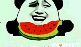 娱乐吃瓜酱梗是什么,网络热词背后的趣味与思考